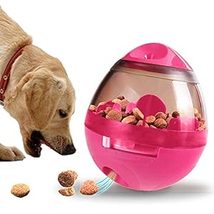 Lakerom Juguete Interactivo del Perro de la alimentación, Bola del alimento de Animal doméstico, Bola de la invitación del índice de Inteligencia-Red