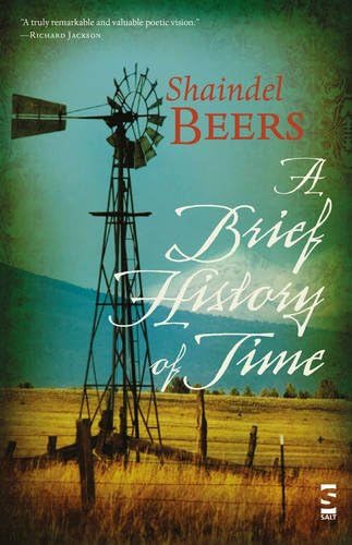 A Brief History of Time (Salt Modern Poets S.)