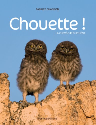 Download Chouettes ! La chevèche d'Athéna Download Chouettes ! La chevèche d'Athéna