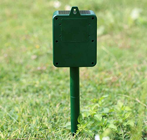 Ruichenxi Ultraschall Vogelabwehr Solar Tiervertreiber, Hundeschreck, Katzenschreck, Marderschreck Tierabwehr Mit PIR Sensor für Outdoor Farm Garten Abschreckung Frequenz einstellbar - 2