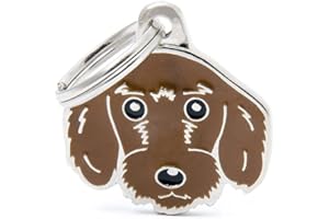 MY FAMILY MyFamily Medaglietta per Cane Made in Italy, Bassotto Pelo Duro Marrone, Targhetta Cane, Smaltata a Mano in Metallo, Collezione Friends, 27x27 mm