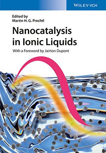Preisvergleich Produktbild Nanocatalysis in Ionic Liquids