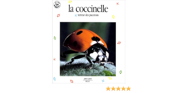 Amazon Fr La Coccinelle Terreur Des Pucerons Duval Cecile Livres