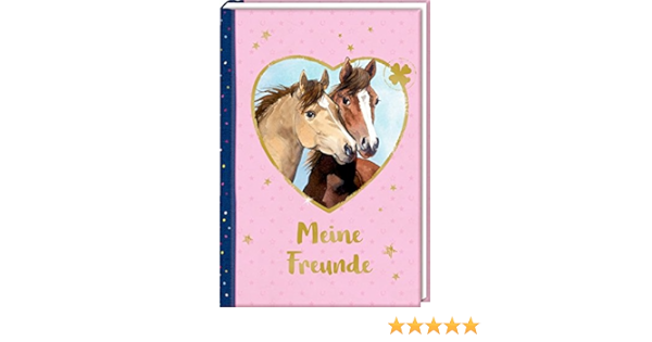 Freundebuch Pferdefreunde Meine Freunde Portrat Illustriert Amazon De Ross Thea Bucher