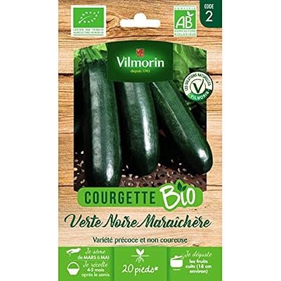 Vilmorin - Sachet graines Courgette verte noire Maraîchère BIO - Cucurbita pepo