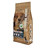 Utilizamos el boniato como fuente de carbohidratos y todas las recetas Grain Free están elaboradas sin cereales