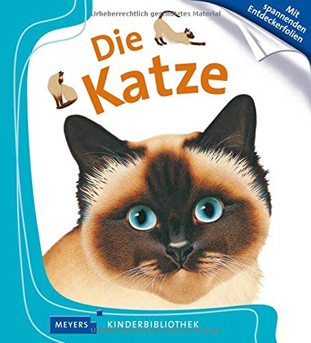 Ist das katze. Детский сад die katze. die katze она. deutsch тетрадь katze. катя katze мама.