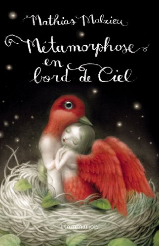 couverture de : M&eacute;tamorphose en bord de ciel