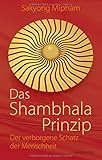 Image de Das Shambhala-Prinzip: Der verborgene Schatz der Menschheit