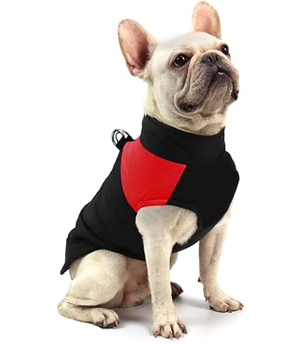 Croci Wasserdichter Hundemantel Montreal - 35cm Rückenlänge Mit Fleecefutter | Perlmutt-Farbe