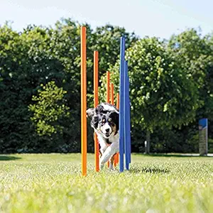 Trixie Dog Agility Slalom