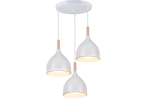 WOTTES Lampadario A Sospensione, E27 Lampadario, Lampadario Moderno, Per Lampadario Camera Da Letto, Cucina, Soggiorno(Lampadine Non Incluse)