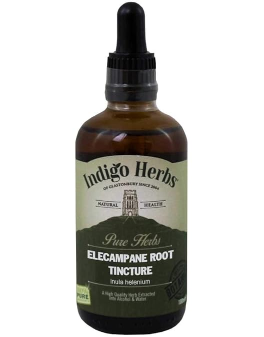 Elecampane (Inula helenium) Roots Alcohol-Free Mother Tincture