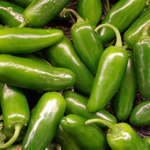 seekay Caliente Pimiento - jalapeño - aprox 190 semillas