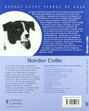 Image de Border Collie (Nuevas guías perros de raza)