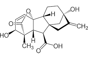 SaatPilot | Gibberellinsyra GA3 90+% - 5 g - Gibberellic Acid, Gibberellin A3 - växthormon, groningshjälp - CAS 77-06-5