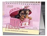 Image de Hunde 2019 (Tischkalender): Der kleine Hundekalender mit Bibelworten
