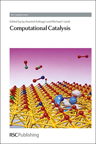 Computational Catalysis: Volume 14 (Catalysis Series)