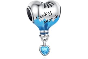 BEEUVIP Charmes de Montgolfière à air Naissance pour Bracelets - Charms de Perles ajourées en Argent Sterling 925, charmes de Coeur d'amour pour Bracelets et Colliers pour Femmes Filles