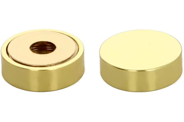 spegelskruvar, krom skruvar, krom skruvar 18 mm/0,71" spegel med skruvlock i rostfritt stål for dekorativ spegel och skylt-/reklambeslag, guld ljus yta 4PCS (storlek: 14 mm) (Size : 16mm)