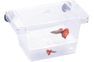 Netspower Aquarium d'élevage Écloserie Incubateur Réservoir de Frai Aquarium Transparent Petite Boîte pour Bébé Poisson Boîte D'élevage en Plastique pour Isolement et Éclosion avec Ventouses