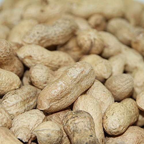 Paul’s Mühle Erdnüsse mit Schale 10 kg - 2