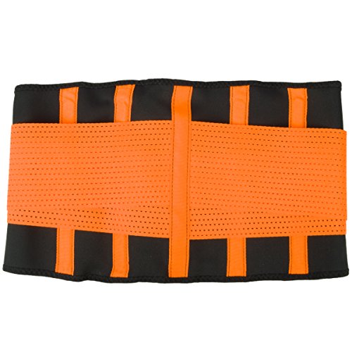 Armor Belt Sport-Gürtel Rückenstütze mit orthopädischer Wirkung Rückenbandage S-XL - 4