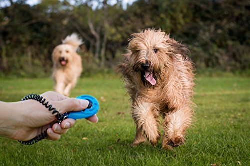 Joyoldelf-4pcs-Pet-Trainer-Clicker-Dog-Training-Aid-and-Lead-Tool-with-Wrist-Strap-for-Recall-and-Obedience-Training