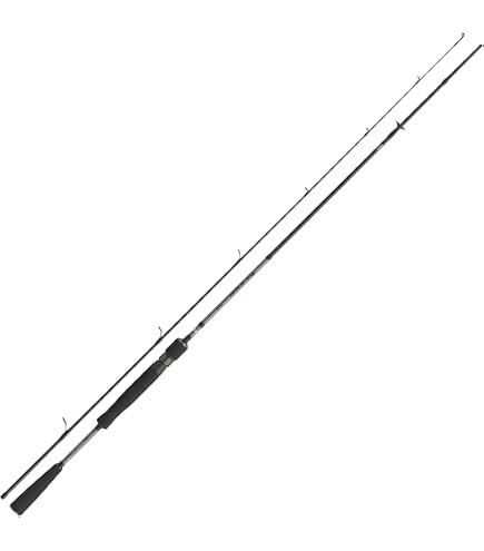 Shimano Terez TZS72ML Saltwater Spinning Rod Sports & Outdoors