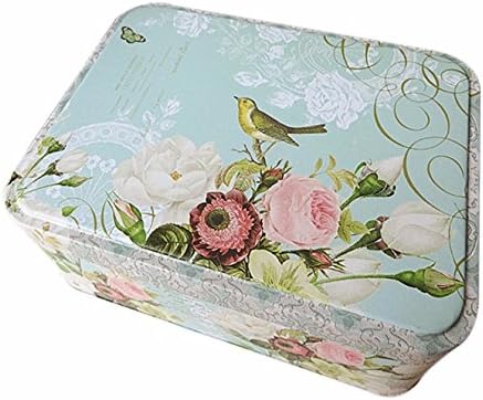 box tin tiny small decorative metal nostalgia bird sky clouds box