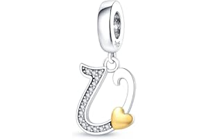 LONGLUCK Perles de charme Alphabet A-Z en argent sterling S925 pour bracelet Pandora pour femme, cadeau de bijoux pour femme.