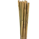 Gardener 163702 Bamboo Support Bar 10 Pack - 6-8 Mm X 60 Cm