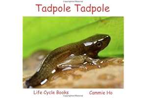 Tadpole Tadpole (Life Cycle Books)