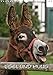 Produktbild Esel und Mulis (Wandkalender 2018 DIN A4 hoch): Liebenswerte graue Gesellen (Monatskalender, 14 Seiten ) (CALVENDO Tiere) [Kalender] [Apr 01, 2017] / ... + Martina Berg, Pferdografen.de