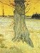 Produktbild Die alte Eibe von Vincent van Gogh - Handgemaltes Ölgemälde - 50 x 60 cm - 13889