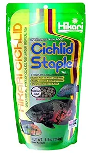 Hikari Cichlid Staple, Fish Food (Medium), 250 g