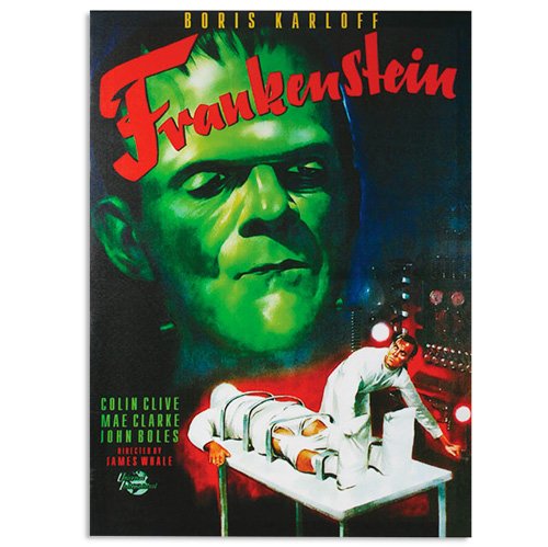 Preisvergleich Produktbild Frankenstein Leinwanddruck 50 X 70