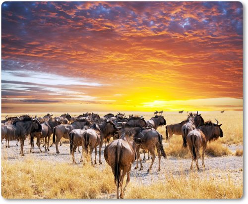 Mauspad / Mouse Pad aus Textil mit Rückseite aus Kautschuk rutschfest für alle Maustypen Motiv: Afrika Safari Gnu Herde | 02