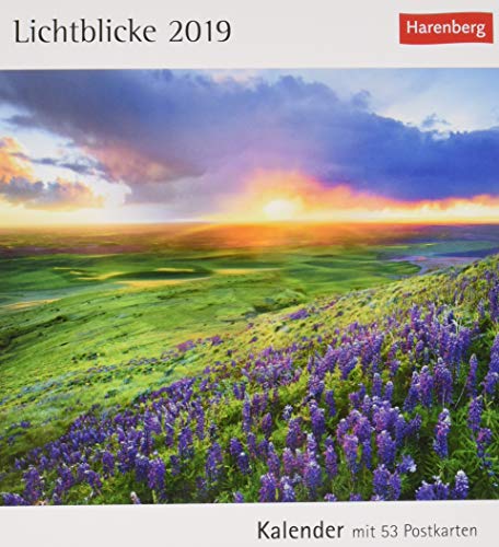 Lichtblicke - Kalender 2019: Kalender mit 53 Postkarten