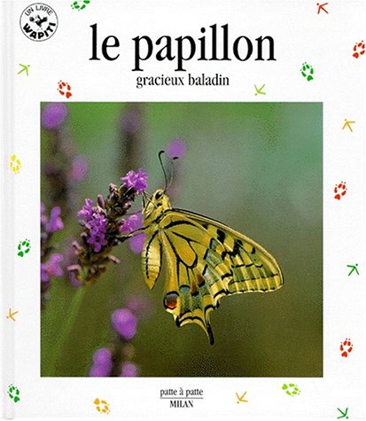 couverture de : Papillon
