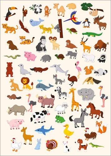 Posterlounge Wood print 120 x 170 cm: Animal World by Kidz Collection/Editors Choice