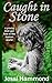 Produktbild Caught in Stone