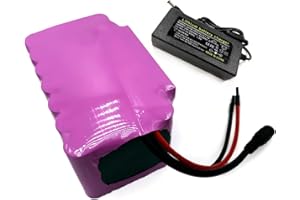 SEILYLANKA Avec chargeur 14Ah 6S4P 24V batterie e-bike ebike vélo électrique Li-ion personnalisable 115x85x70mm