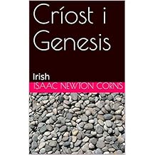 Amazonin Irish Christianity Religion Books - 