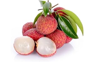 Fresh lychee - sweet, juicy and floral litchi - Expertly sourced by My Exotic Fruit (200g)