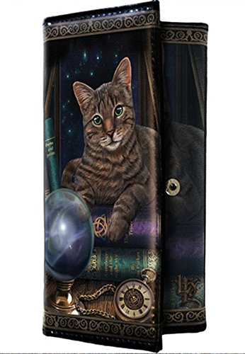 Preisvergleich Produktbild Designer-Geldbörse, Motiv Wahrsager Katze Lisa Parker