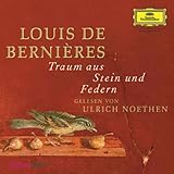 Cover zum Buch Traum aus Stein und Federn