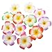 Frcolor 12 Pieces 3.5 Inch Hawaiian Plumeria Flower Hair Clip Foam Hair Accessory for Beach Party Wedding Event Decoration (White Purple Green Rose Red Red Orange) RS.1637.00