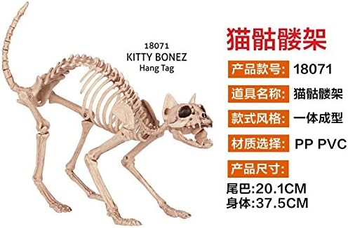 ChengBai Halloween decorating animal skeleton sub-Bar features in props emulation dog bone model rats spider, Cat