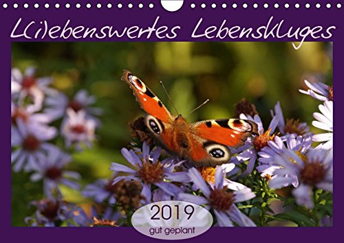 Preisvergleich Produktbild L(i) ebenswertes Lebenskluges (Wandkalender 2019 DIN A4 quer)